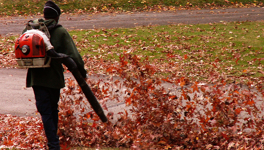 Leaf blower moving leaves downstairs