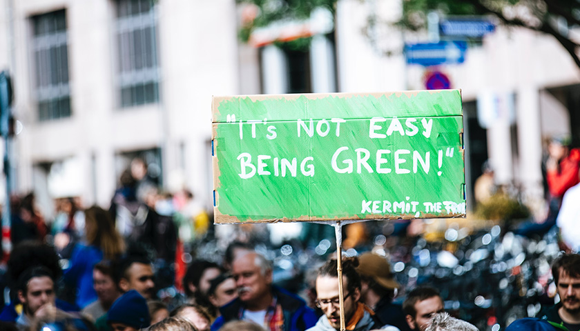 "It's not easy being green" sign in the middle of a crowd