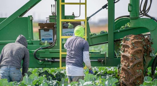 Farm Workers