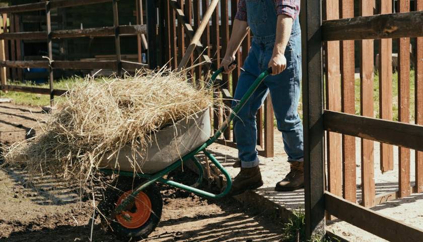 Farmer