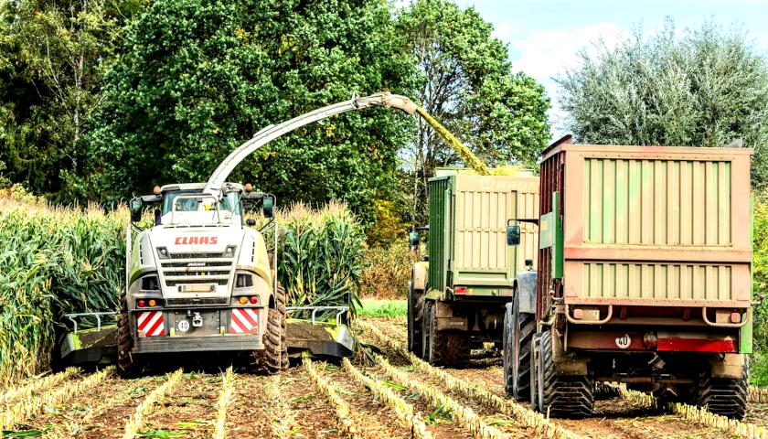 Corn Farm