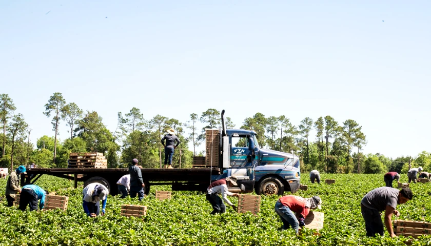 Farm Workers