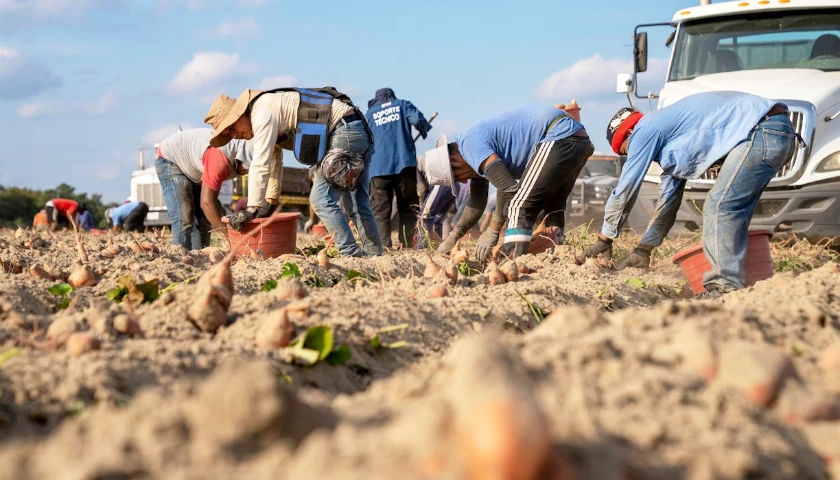 farm workers