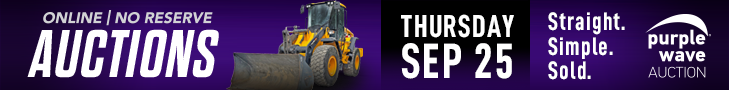Purple Wave Auction